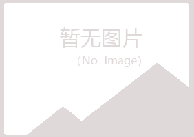 阳山县忆伤服务有限公司